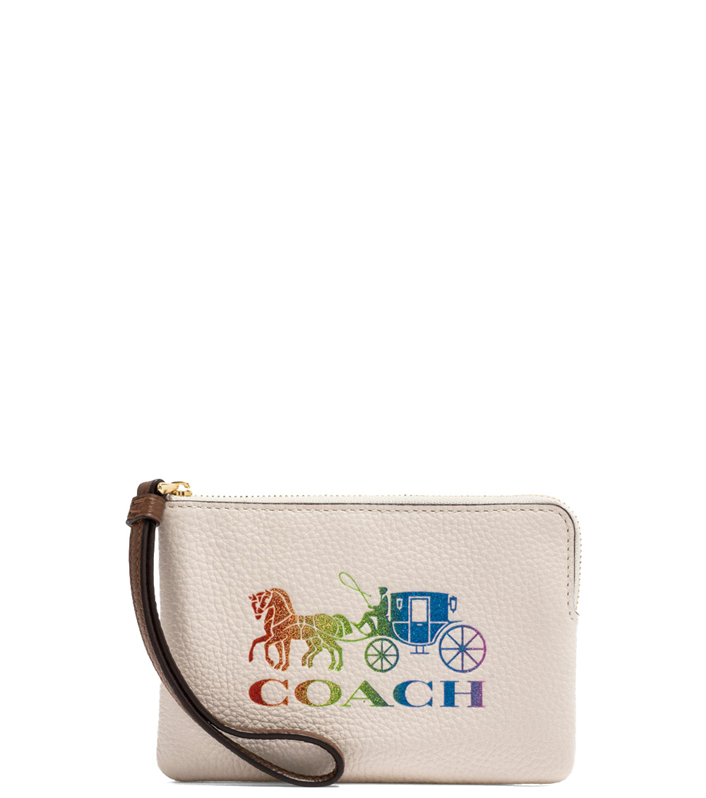 Coach Horse and sale Carriage Rainbow