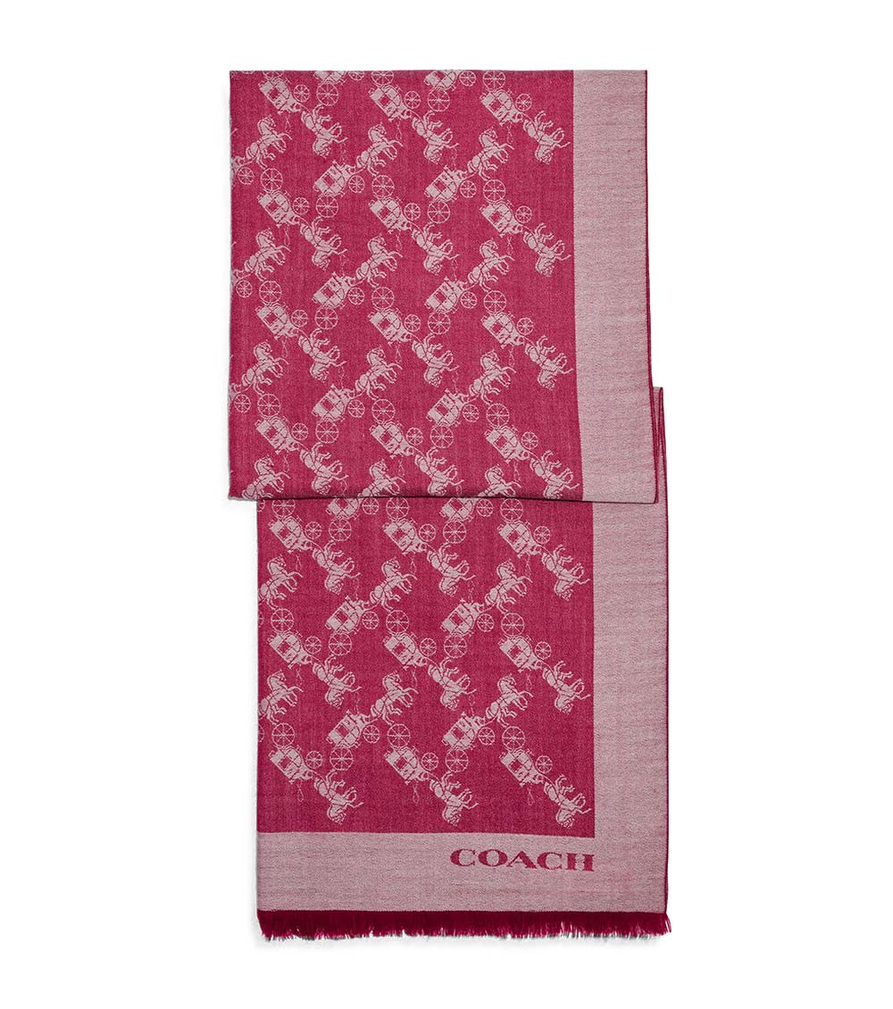 Coach order scarf