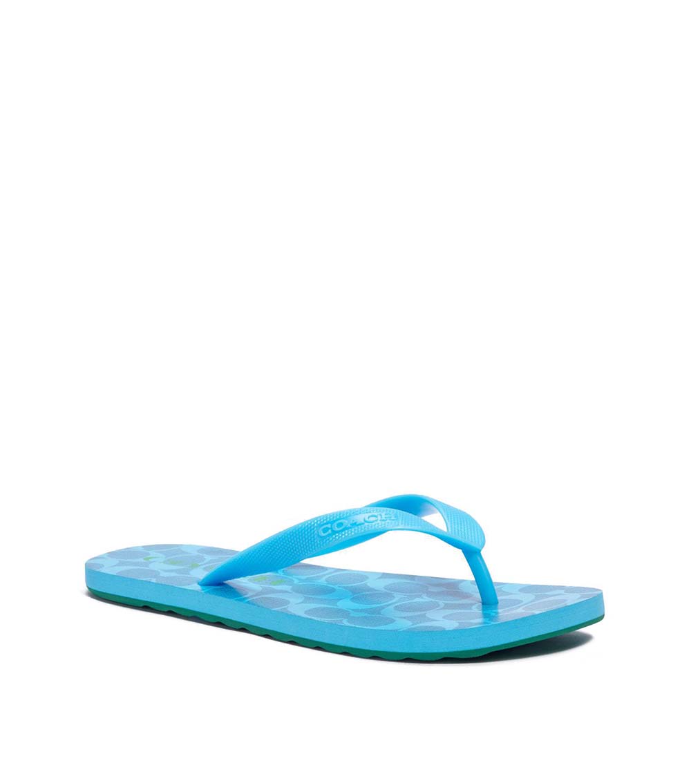 Coach Parrot Blue Zak Flip Flops for Women Online India at 