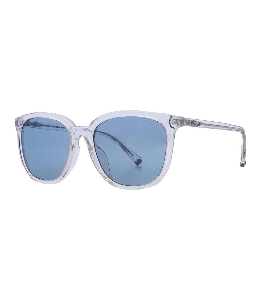 Coach sunglasses india online