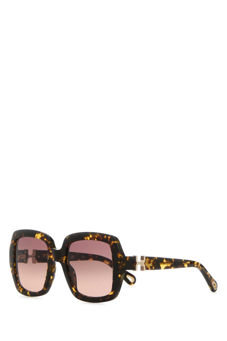 Chloé Chloe Women Printed Acetate Marcie Sunglasses