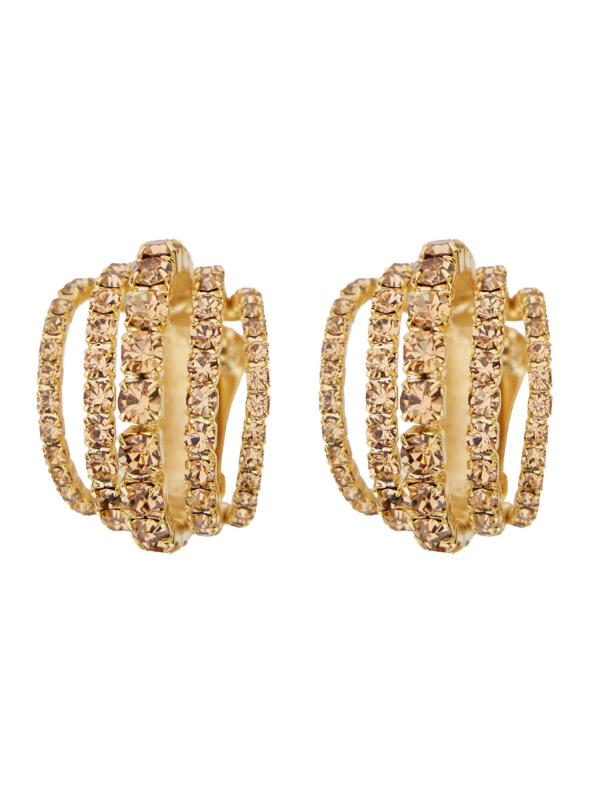 Silvia Gnecchi Golden Crystal Earrings In Gold