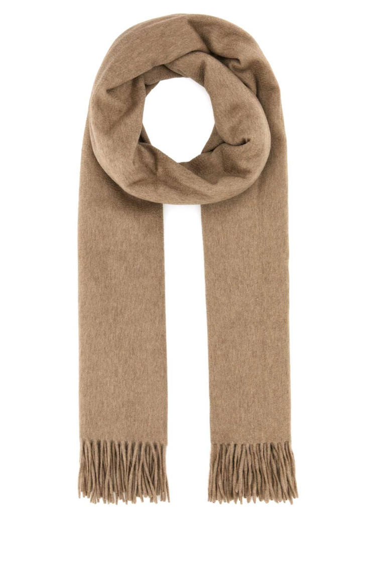 Shop Max Mara Beige Baci Scarf