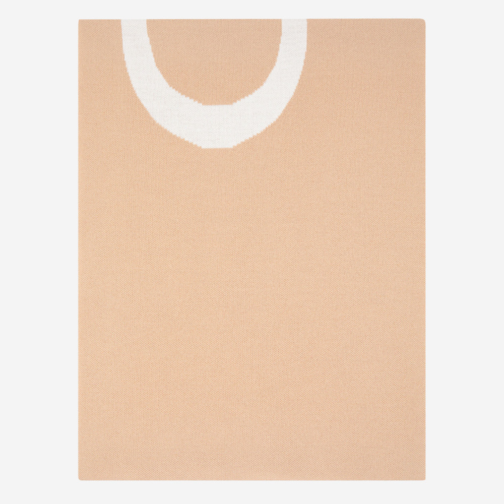 Pinko Beige Logo Scarf In Brown