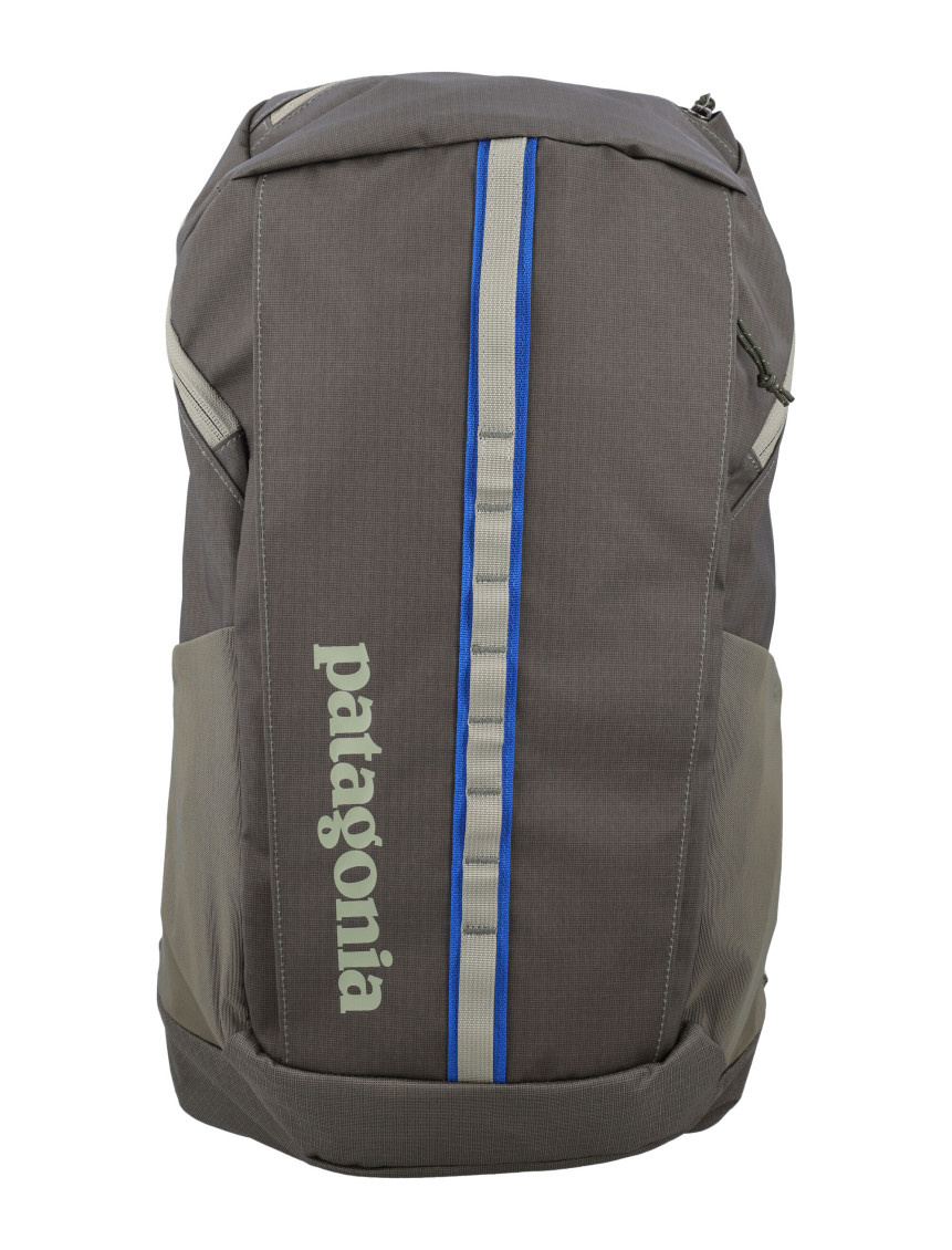 Patagonia Olive Hole Backpack