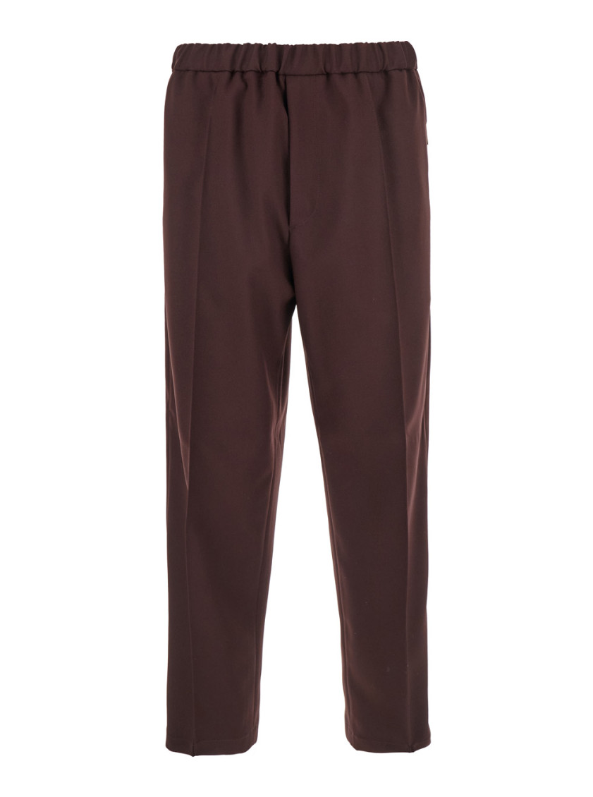 Jil Sander Bordeaux Pants With Elastic Waist In Tech Fabric Man In Brown
