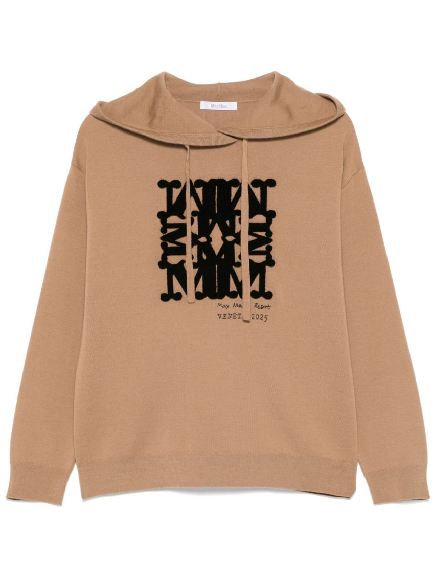 Max Mara Hooded Sweatshirt With Drawstring And Graphic Detail In Brown
