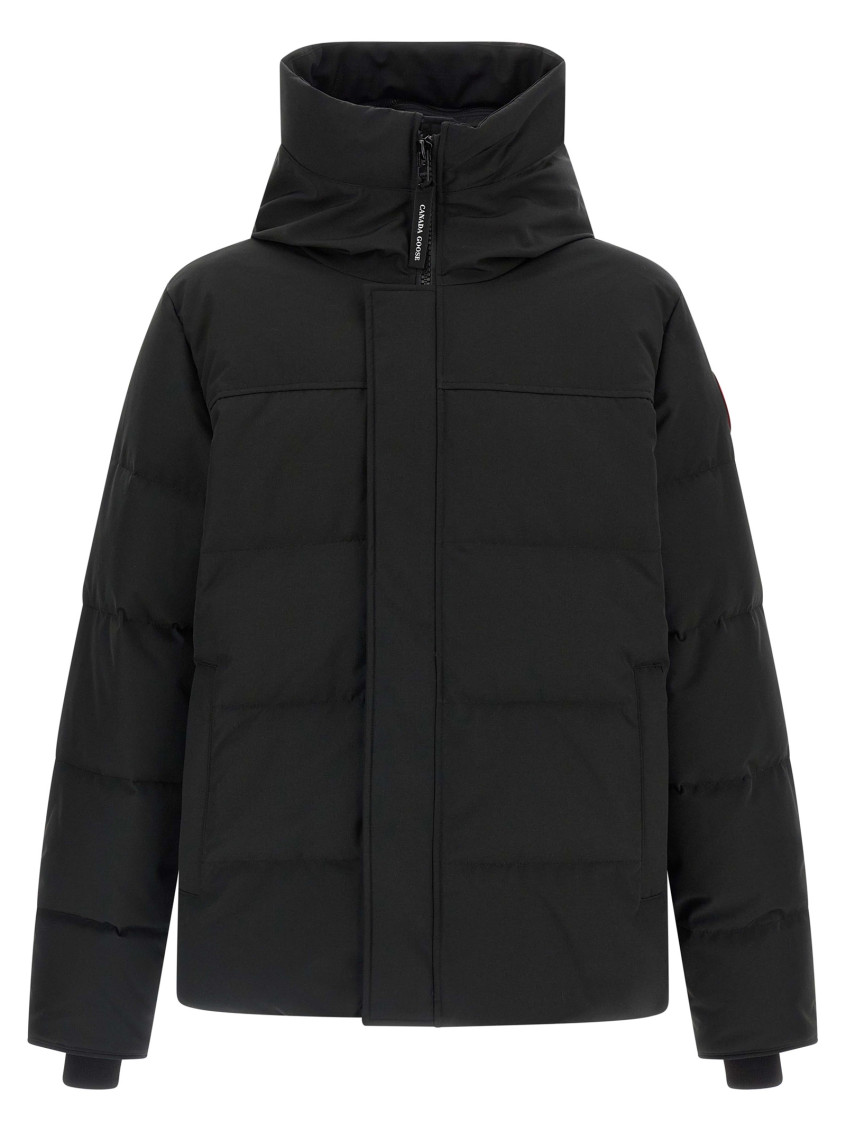 Canada Goose Padded Down Jacket With High Collar In Black