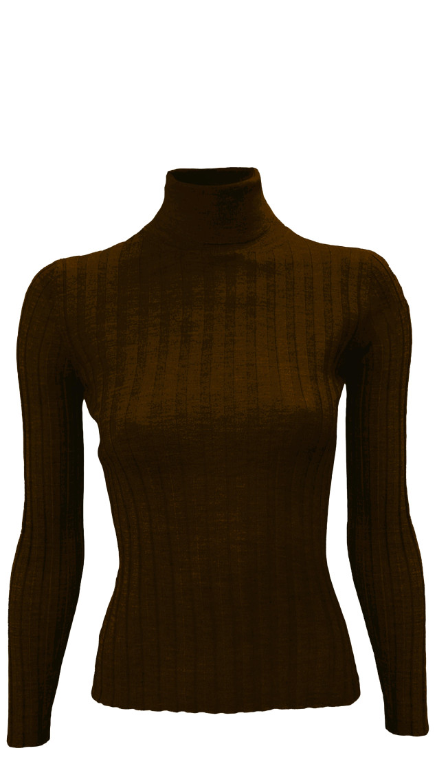 La Rose Maglia Collo Alto In Brown