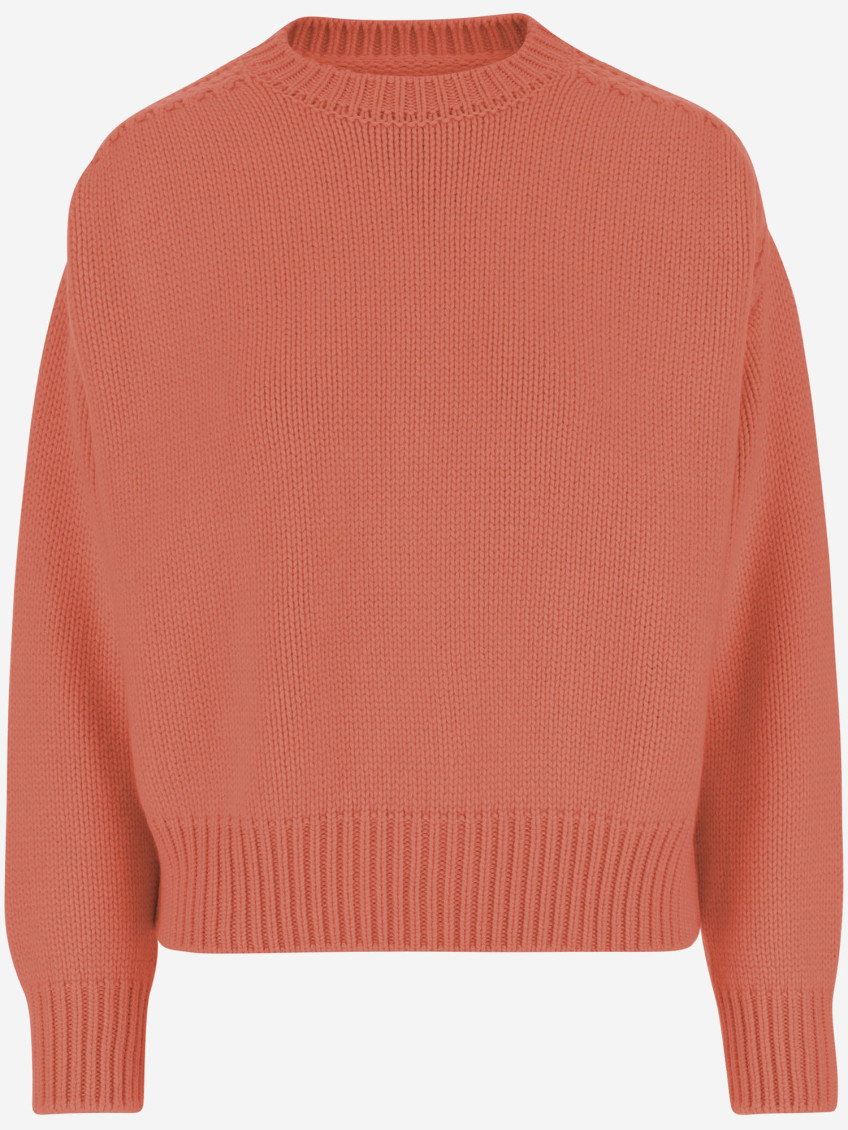 Sa Su Phi Cashmere Sweater With Crew Neck In Orange