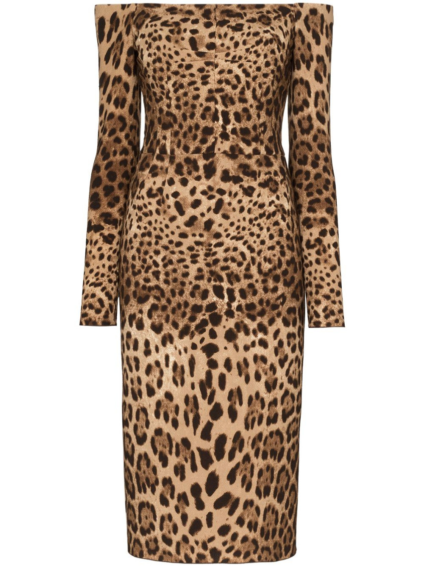 Shop Dolce & Gabbana Leopard Print Midi Dress