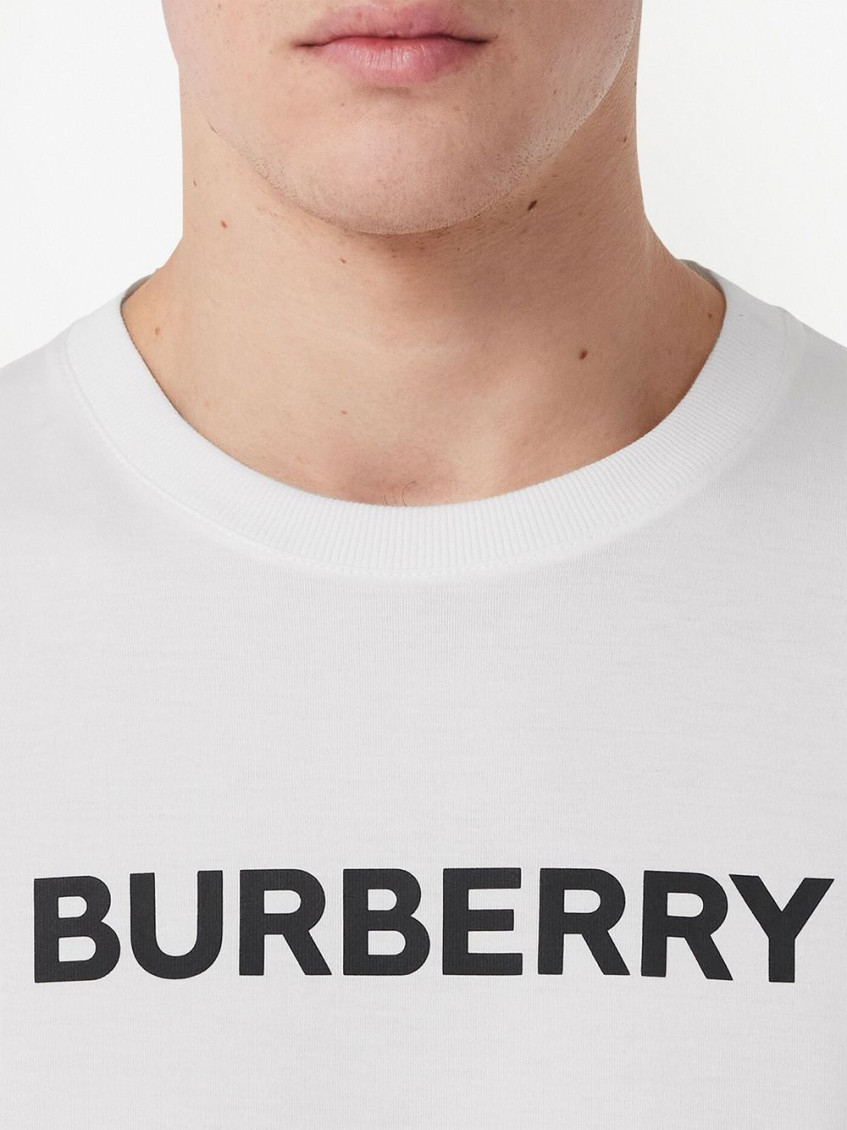 burberry ロゴ t シャツ