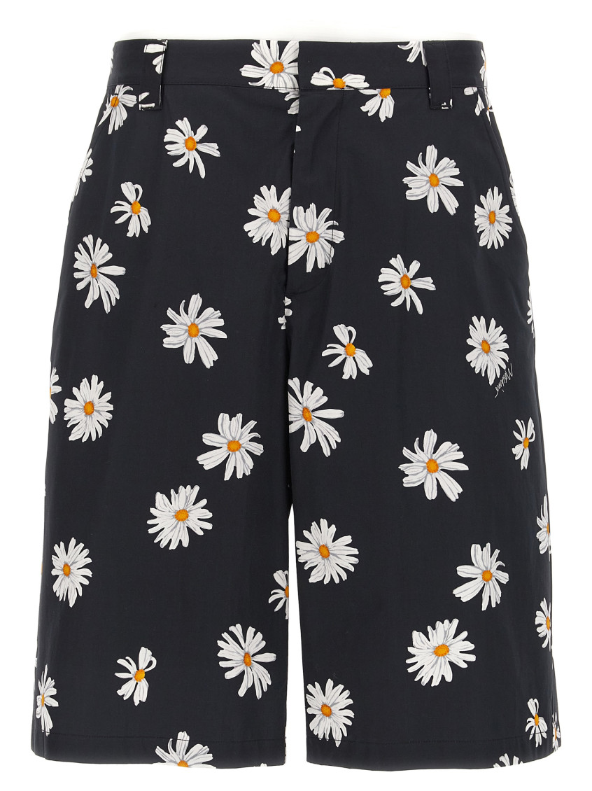 Moschino All-over Daisy Print Bermuda Shorts In Black