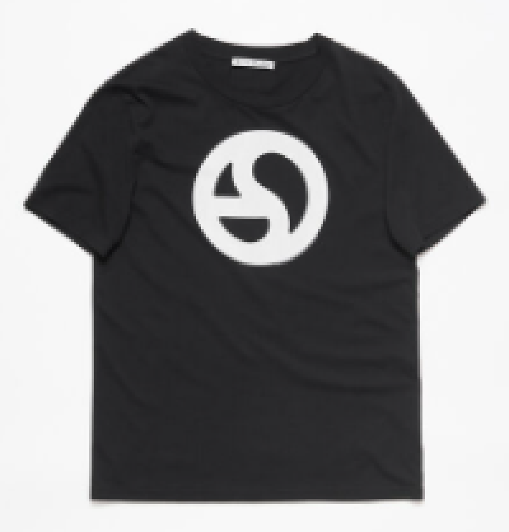 Acne Studios Everest Logogram T-shirt In Black