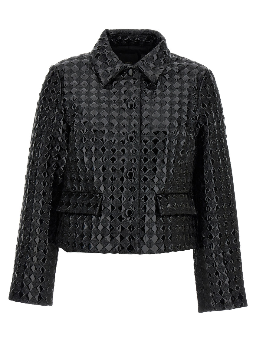 Shop Pinko Black Regular Fit Jacket