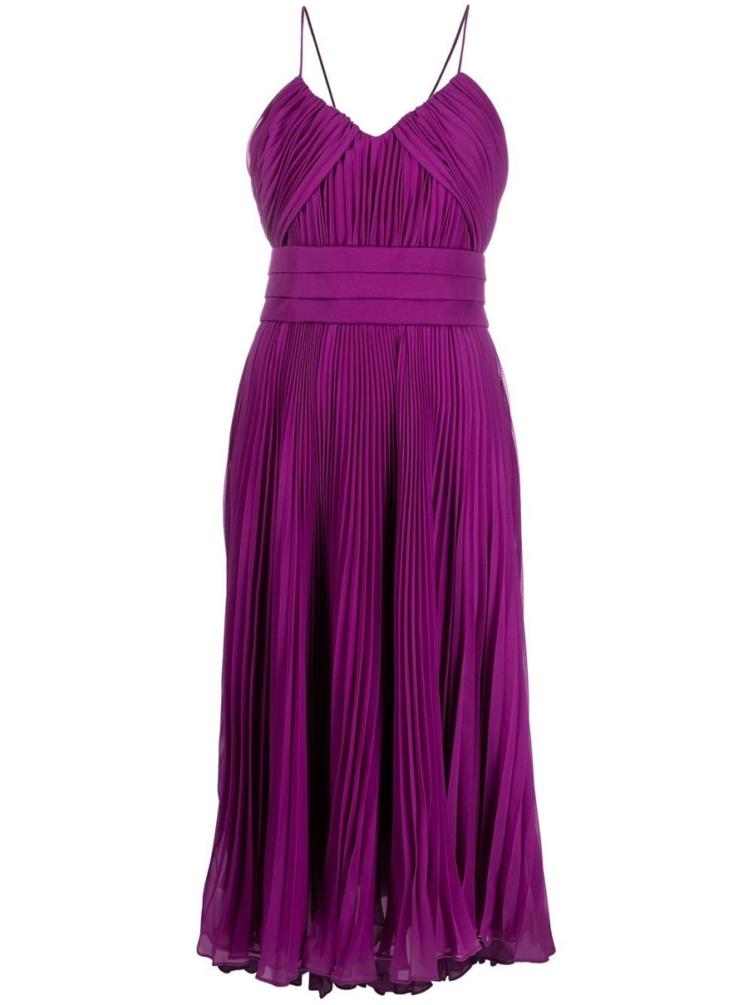 Max Mara Women Flared Pleated Dress In Purple