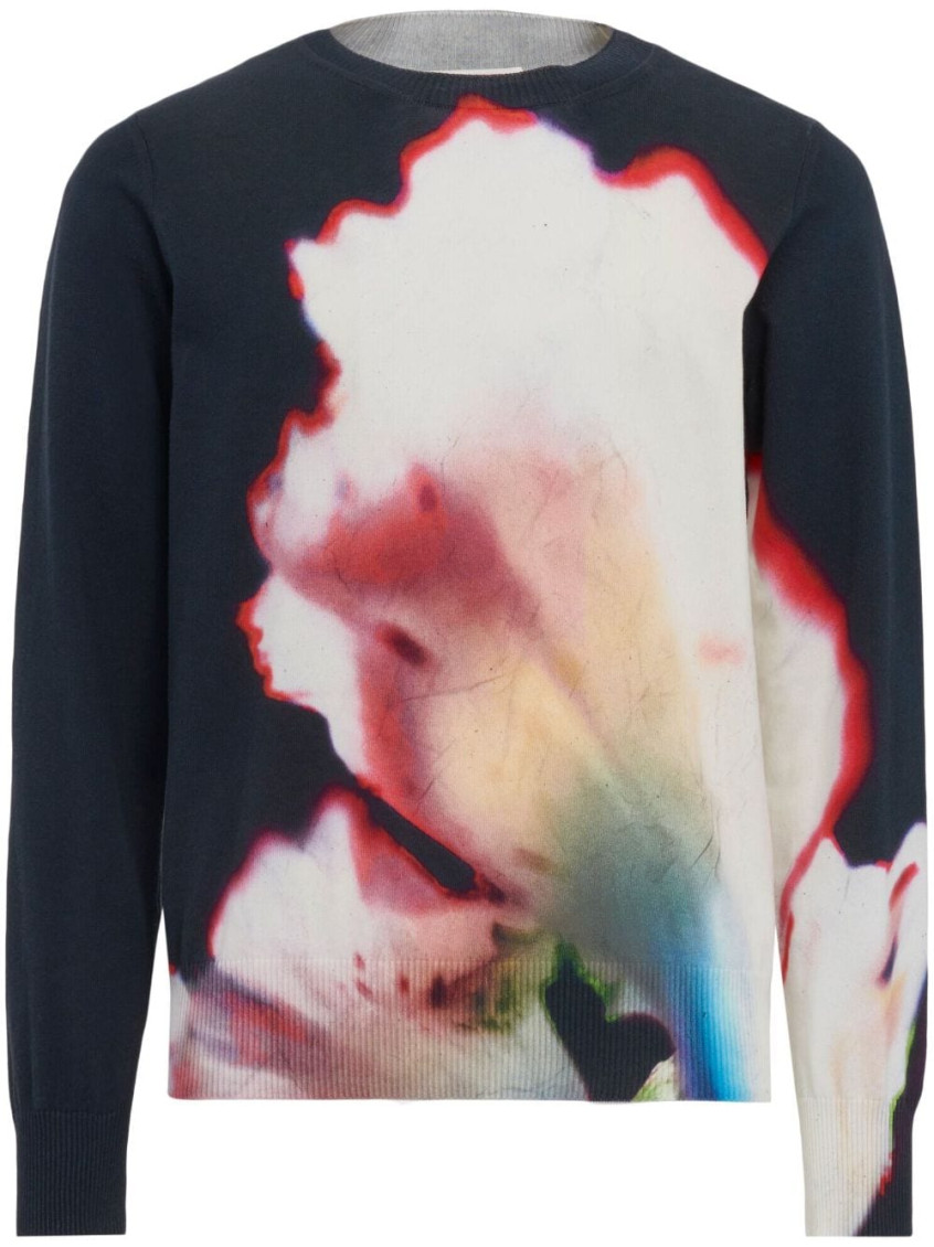 Alexander Mcqueen Solarized Flower-print Pullover Sweater In Multicolor