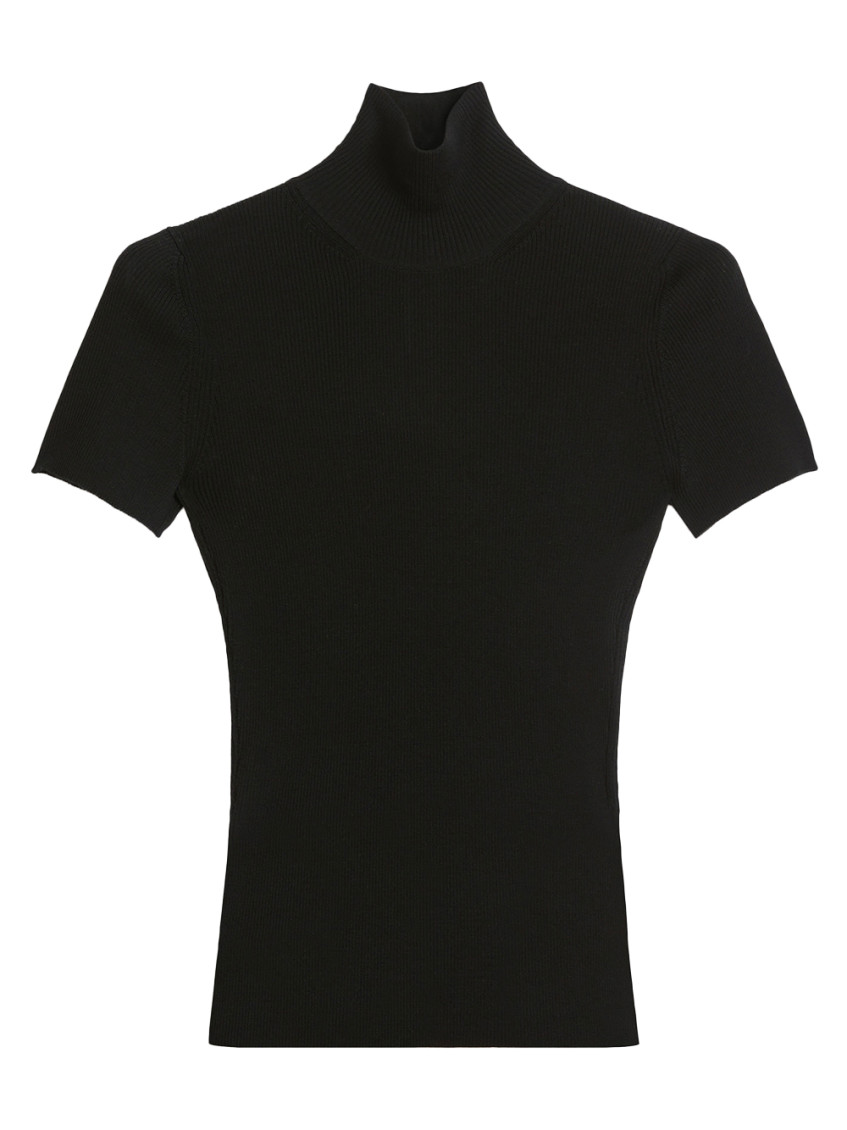 Max Mara High Neck Wool Knit Sweater Clothing In Black