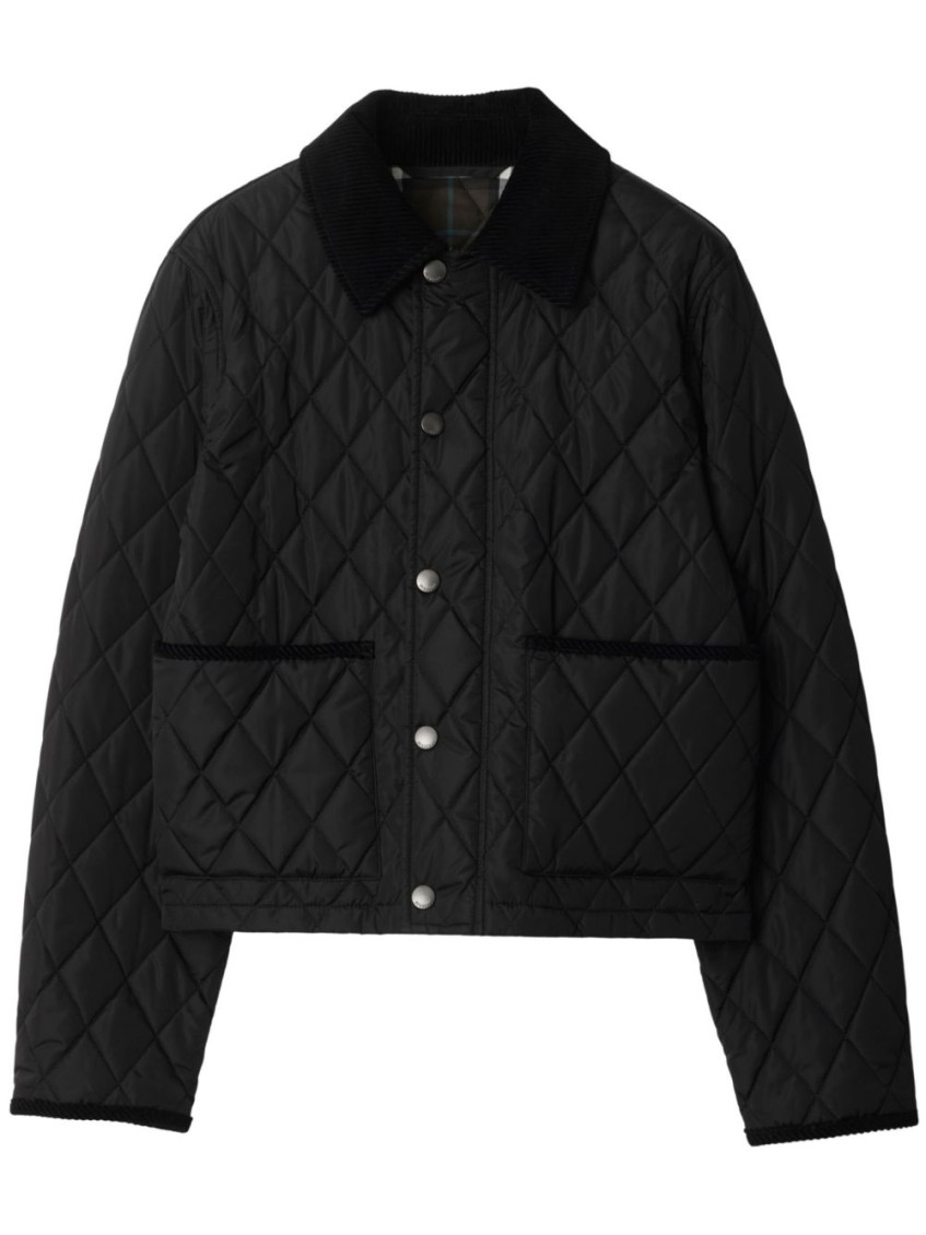Burberry Check Lining Quilted Nylon Dorset Jacket Clothing In Black