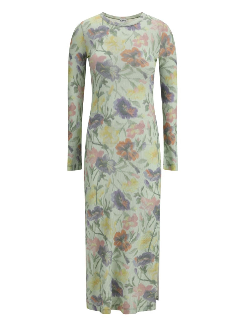 Loewe Women Morning Glory Print Cotton And Silk Multicolor Dress