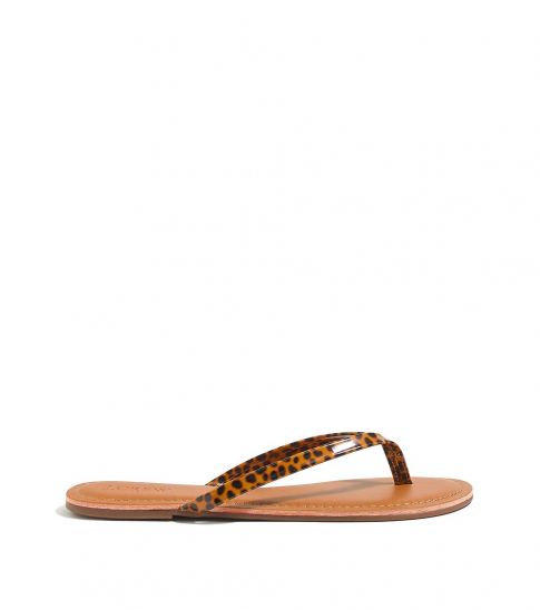 tortoise flip flops