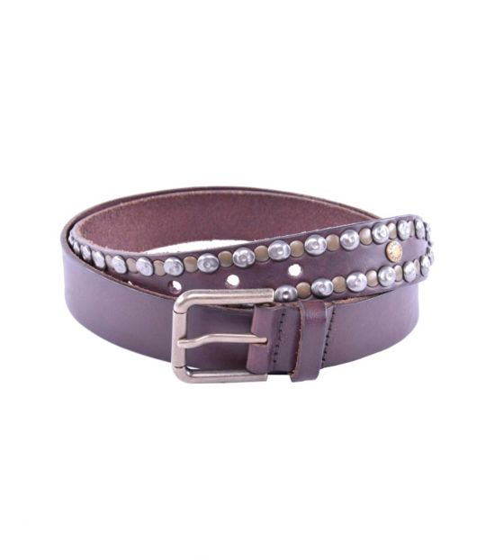 Dolce & Gabbana Dark Brown Stud Leather Belt