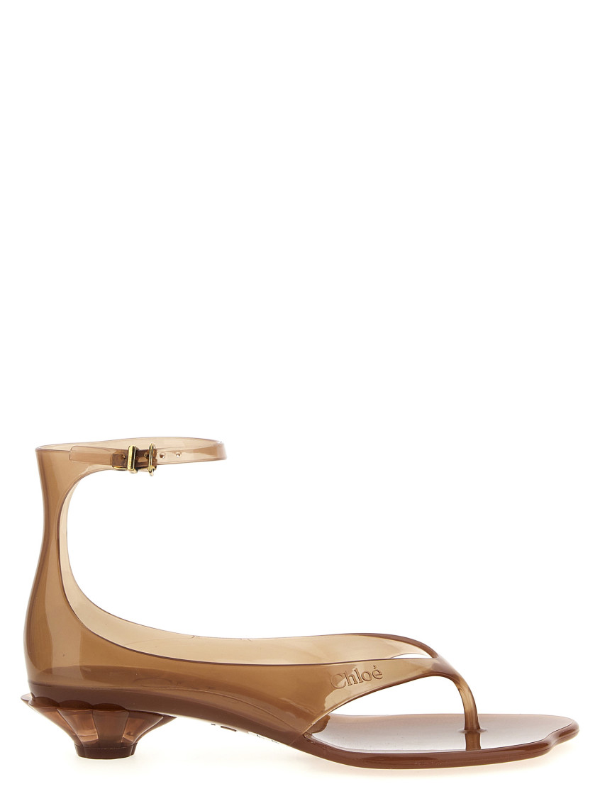 Chloé Jelly Brown Sandals With Logo Imprinted On The Side And Ankle Buckle Closure In Tpu Woman In Brown
