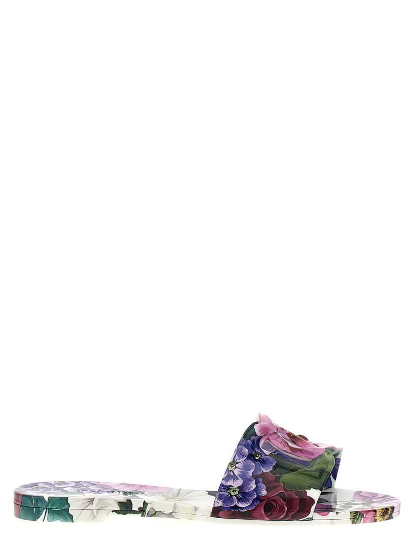 Dolce & Gabbana Bianca Sandals In Multicolor