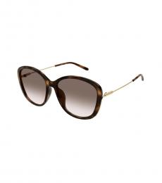 Chloe Dark Brown Gradient Butterfly Sunglasses