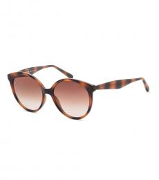 Ferragamo Brown Havana Round Sunglasses