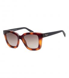 Ferragamo Brown Havana Square Sunglasses