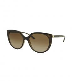 Dolce & Gabbana Dark Brown Round Sunglasses