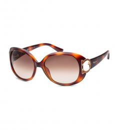 Ferragamo Brown Havana Gradient Sunglasses