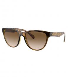 Armani Exchange Brown Havana Cat Eye Sunglasses