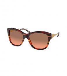 Dark Brown Classic Sunglasses