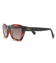 Dark Brown Rectangular Cateye Sunglasses