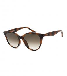 Ferragamo Brown Gradient Sunglasses