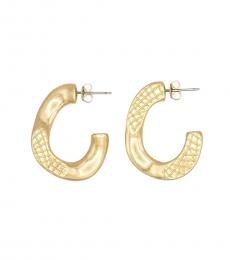 Golden Textured Link Earrings