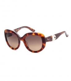 Ferragamo Brown Havana Gradient Sunglasses