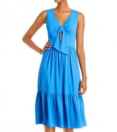 BCBGMaxazria Light Blue Sleeveless Dress