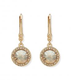 DKNY Golden Stone Drop Earrings