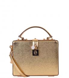Dolce & Gabbana Gold Laminated Mini Satchel