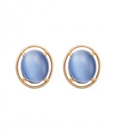 Blue Oval Blue Earrings