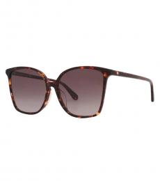 Kate Spade Dark Brown Gradient Butterfly Sunglasses