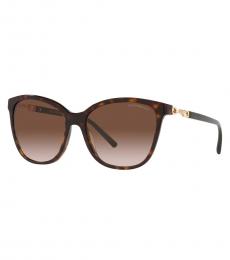 Dark Brown Gradient Sunglasses