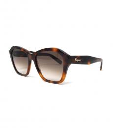 Salvatore Ferragamo Black Havana Round Sunglasses