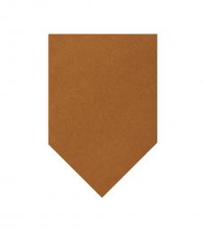 Brown Solid Wide Tie