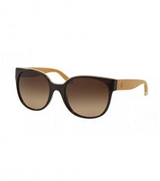 Tory Burch Espresso Golden Gradient Sunglasses