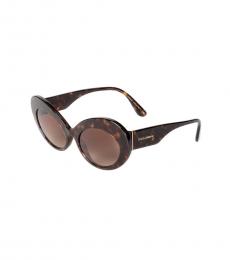 Dolce & Gabbana Dark Brown Havana Classic Sunglasses